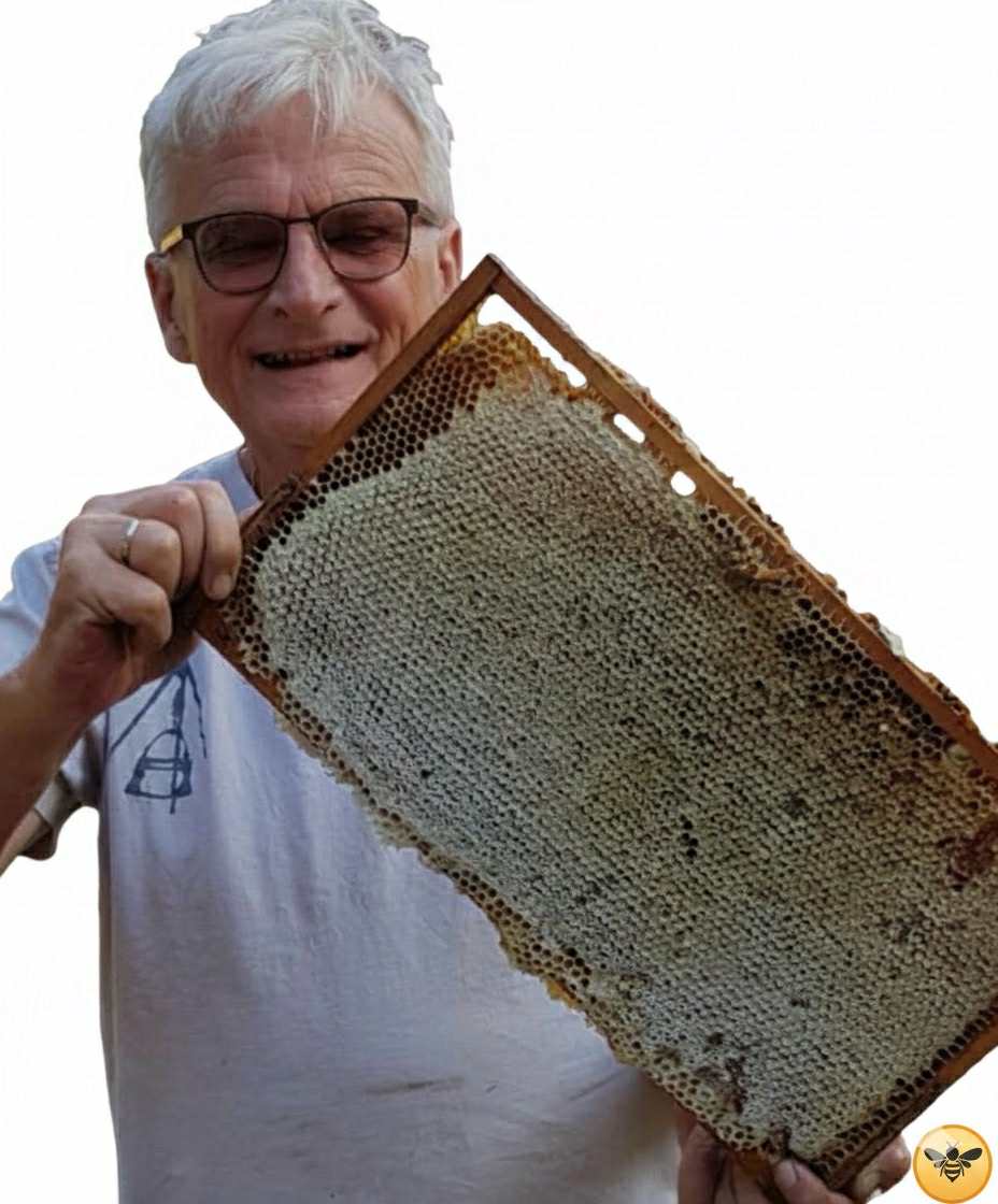 55ee341d-df7a-4f2d-961a-d05837405a33