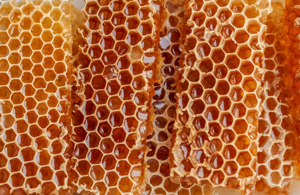The Art of Drawing Readers In: Your attractive post title goes here Close-up shot of honeycombs