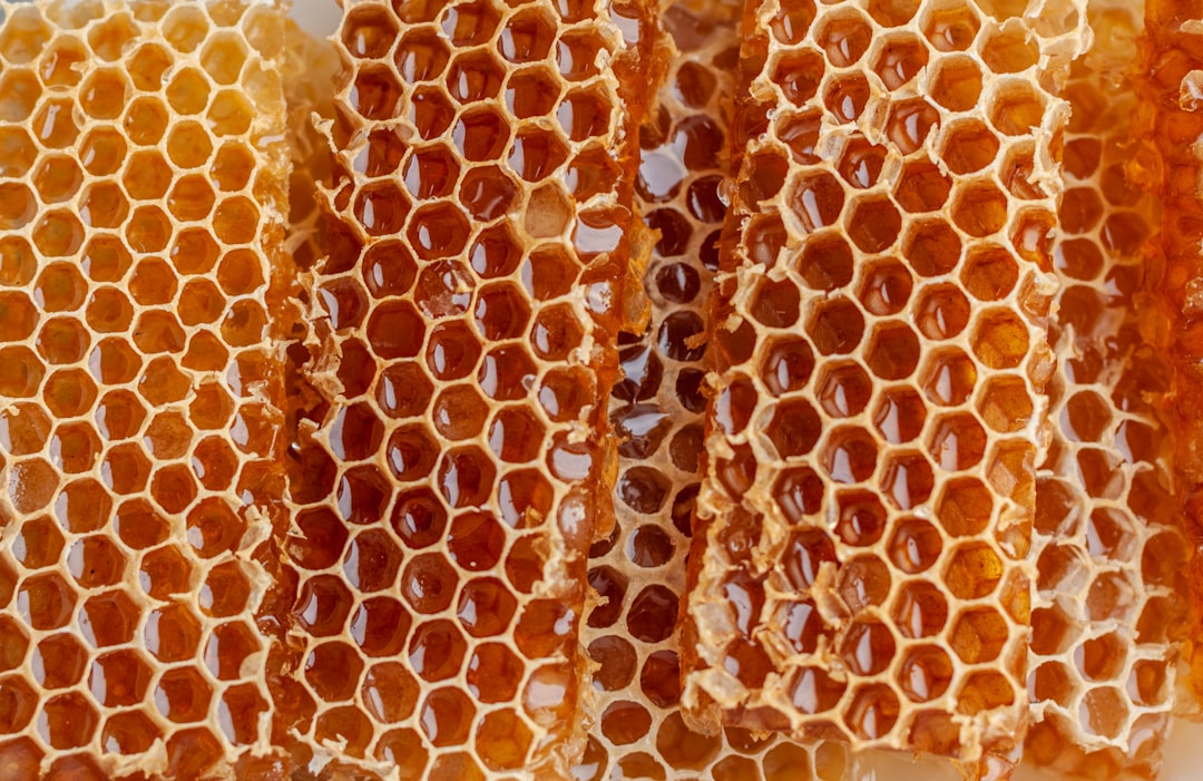 The Art of Drawing Readers In: Your attractive post title goes here Close-up shot of honeycombs