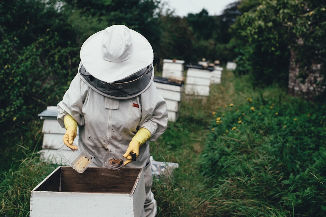 Mastering the First Impression: Your intriguing post title goes here Deans Court beekeeper